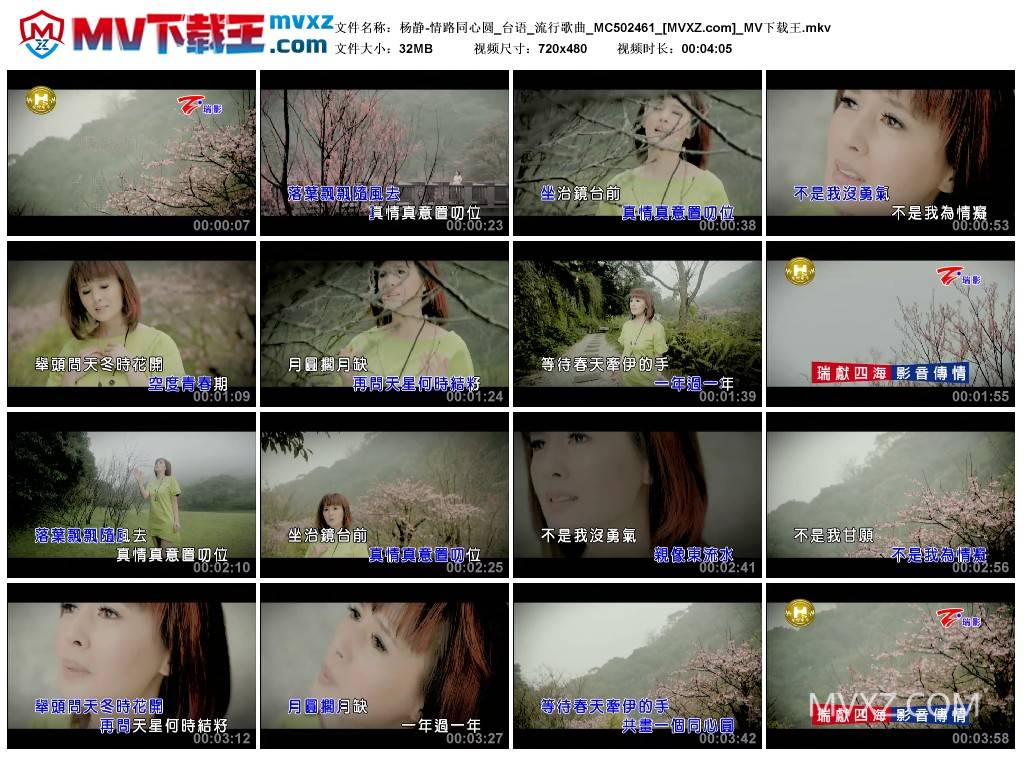 杨静-情路同心圆_台语_流行歌曲_MC502461